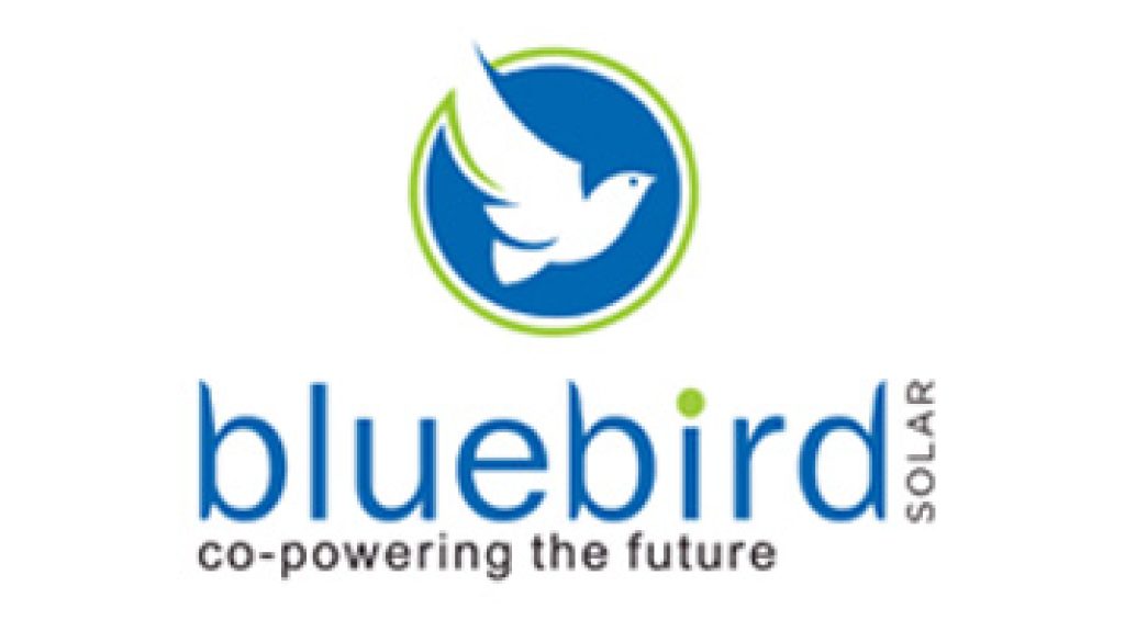 bluebird-1024x575